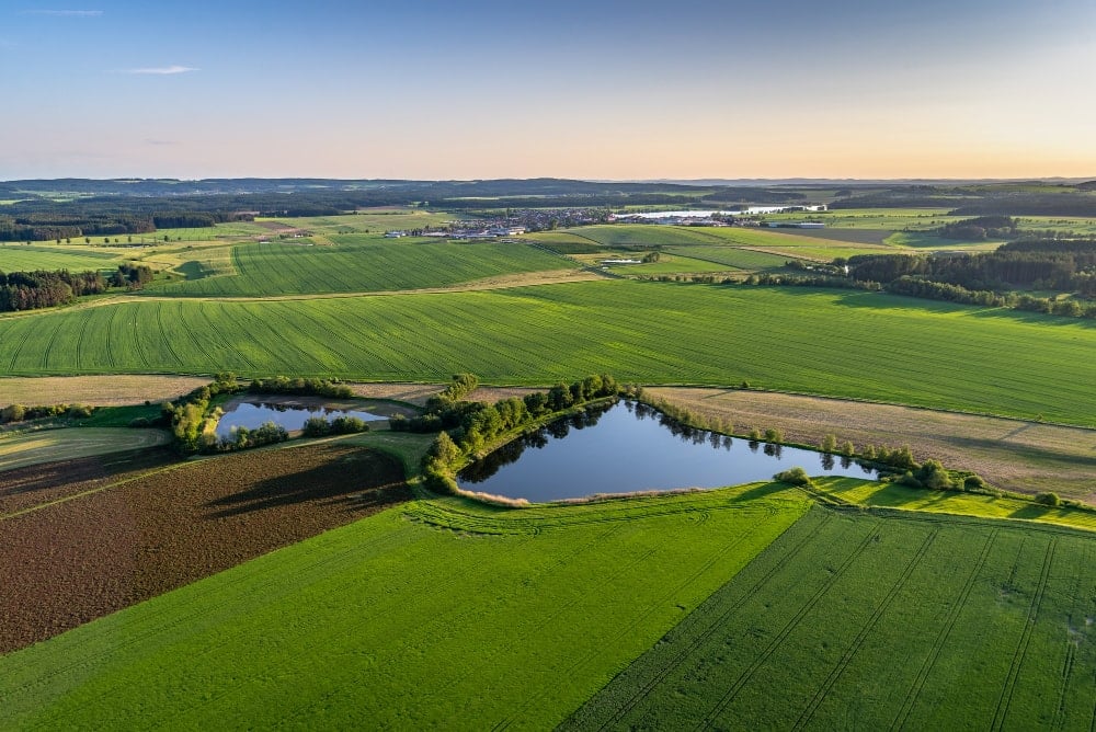 Algae blooms in agriculture affect the quality of crops.