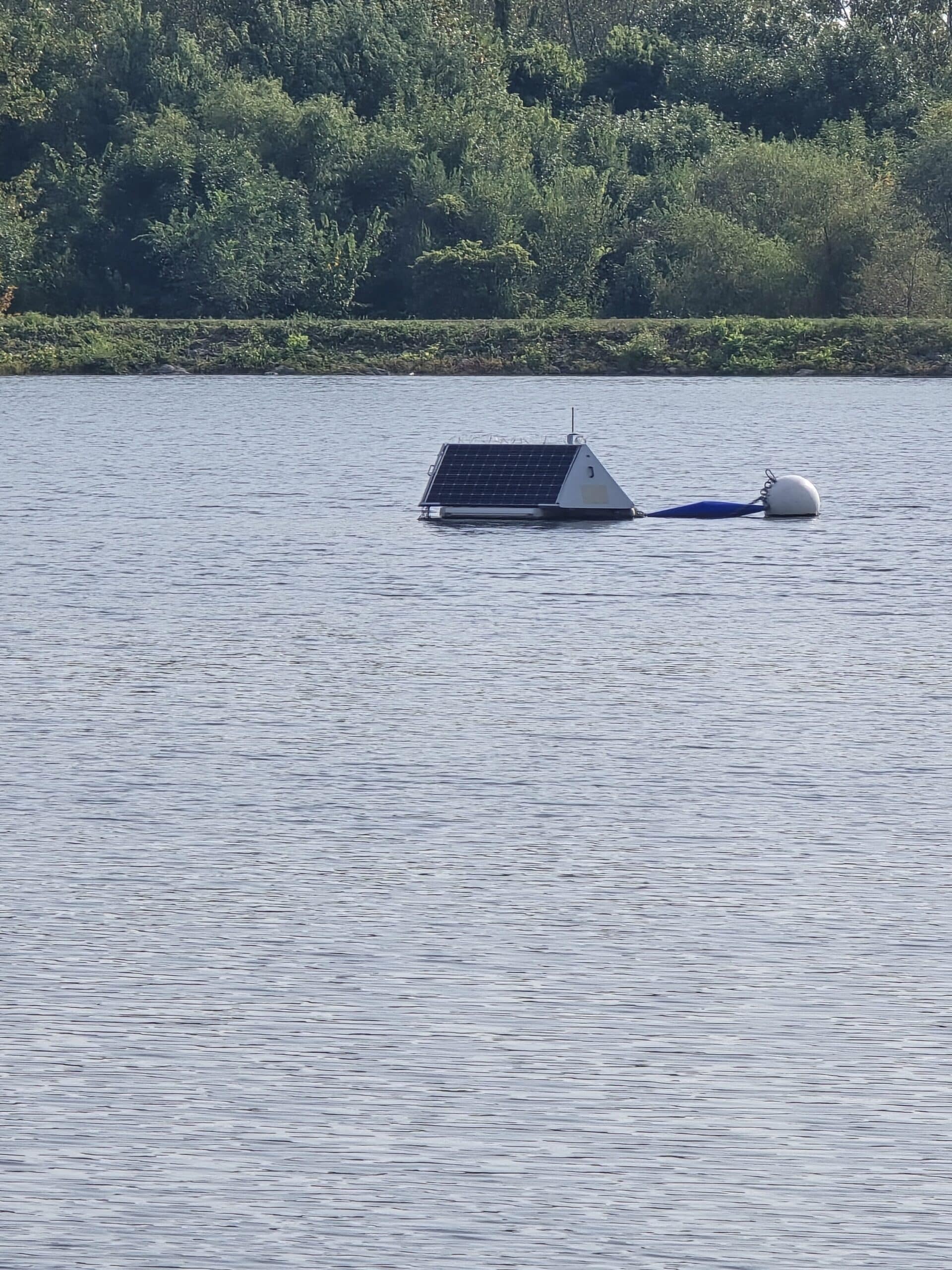 Blue buoy in water