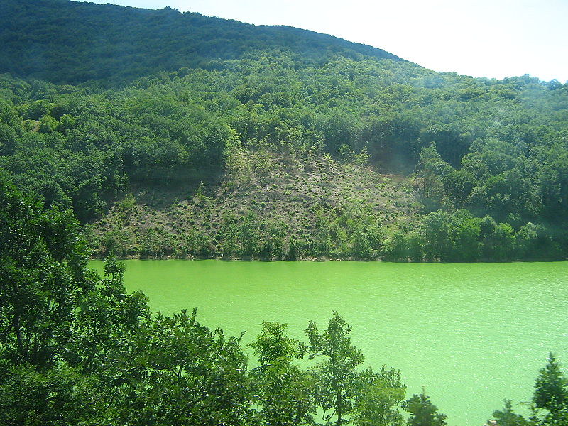 An algal bloom near the Spilje Hydro Power Plant in Macedonia.