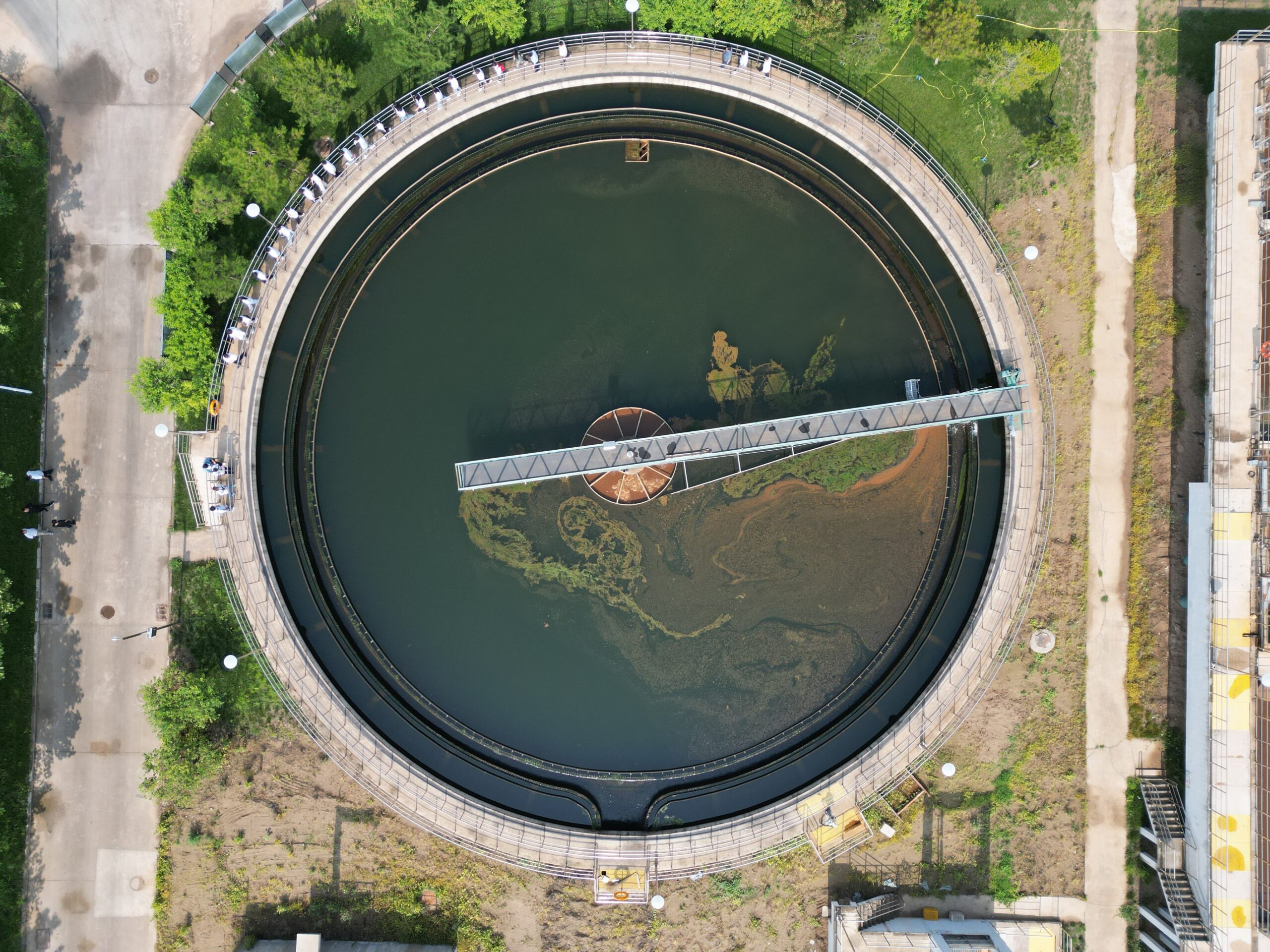 Cost of algae control: algal accumulation on a clarifier surface at a water treatment plant