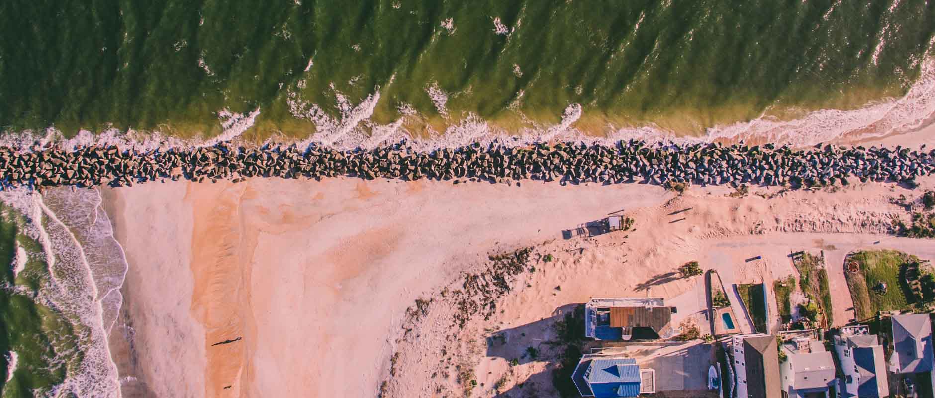 Harmful Algal Blooms: Red Tide vs. Blue-Green Algae - LG Sonic