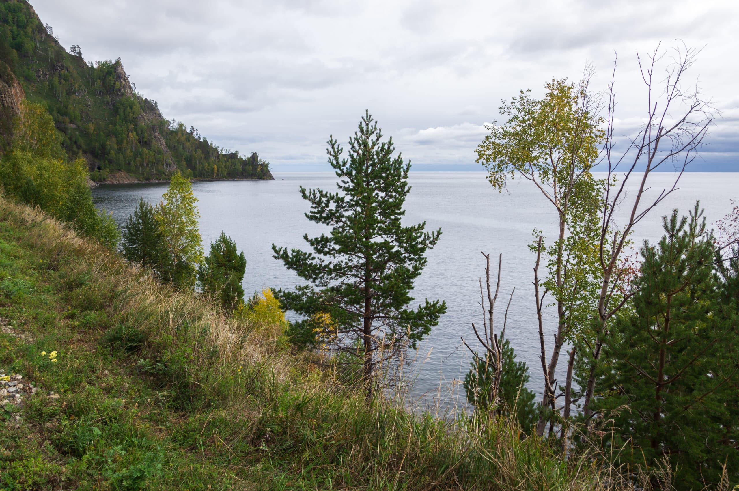 Lake Baikal Russia shoreline showing healthy lake ecosystem with clear water conifer trees and rocky littoral zonecalidad del agua en lagos Baikal