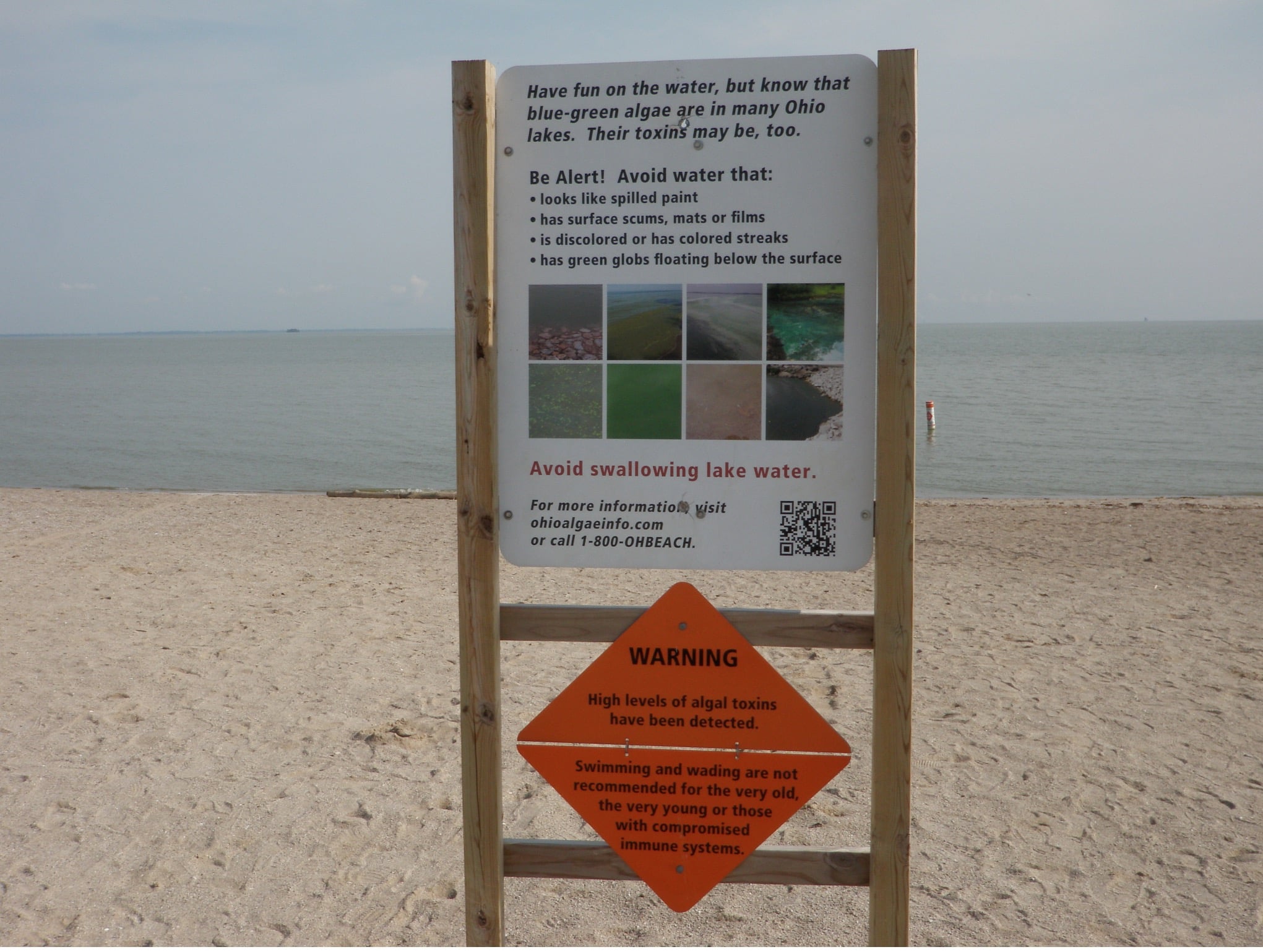 Aviso de saúde ajuda a proteger as pessoas quando ocorrem proliferações de algas nocivas. Saiba o que desencadeia.