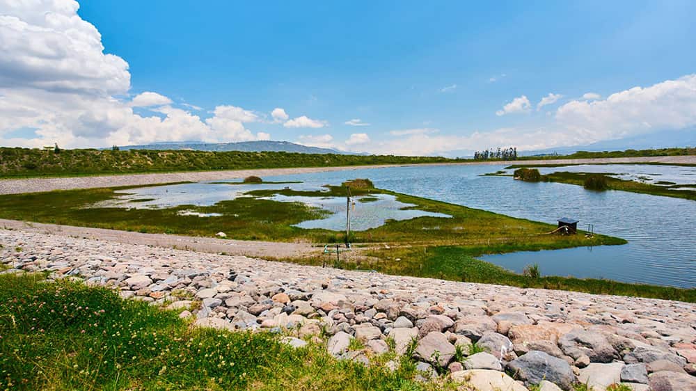 Quiport airport uses ultrasound technology to get rid of algal blooms