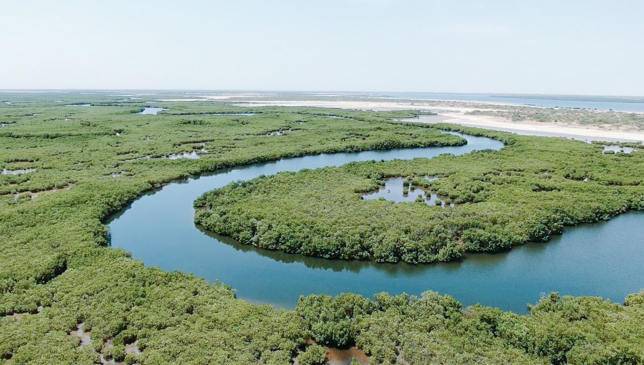 Reduce algal blooms with nature based solutions