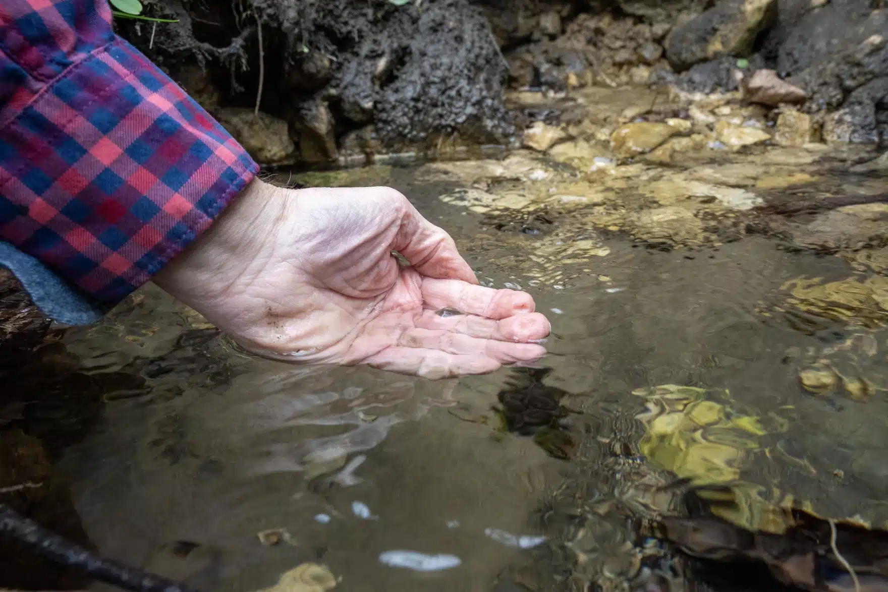Mississippi river in the world's most polluted river
