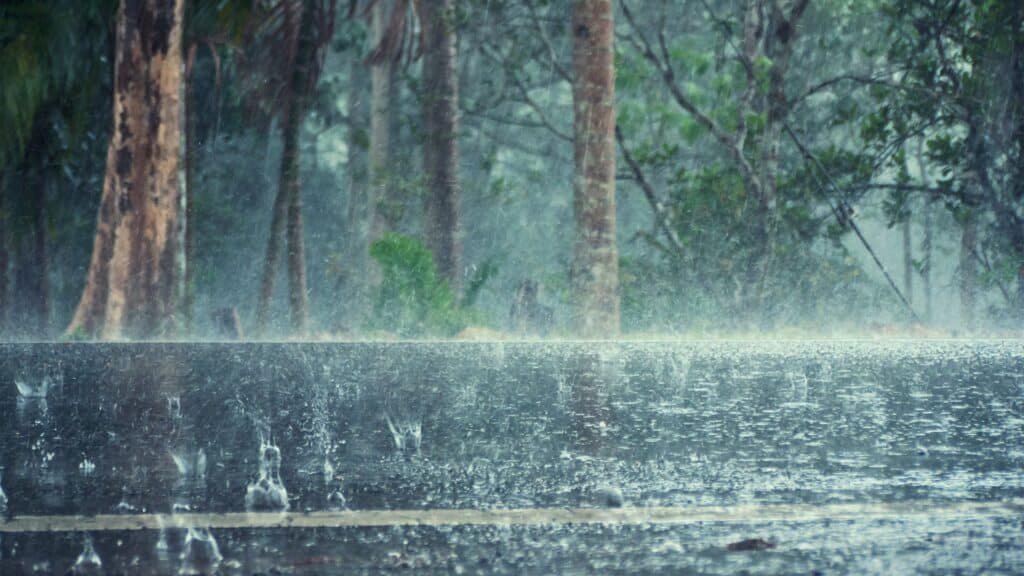 How Hurricanes Fuel Algal Blooms
