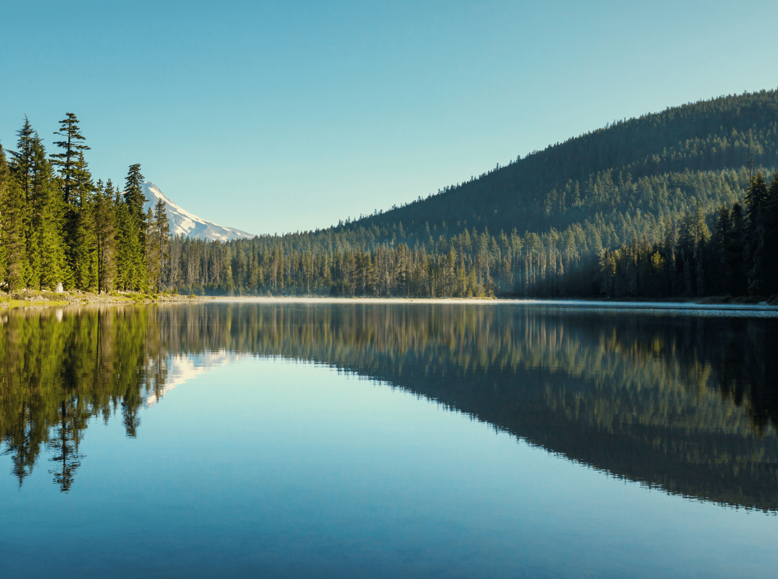 Supporting Nature-Based Solutions through Ecosystem Restoration and Water Quality Monitoring
