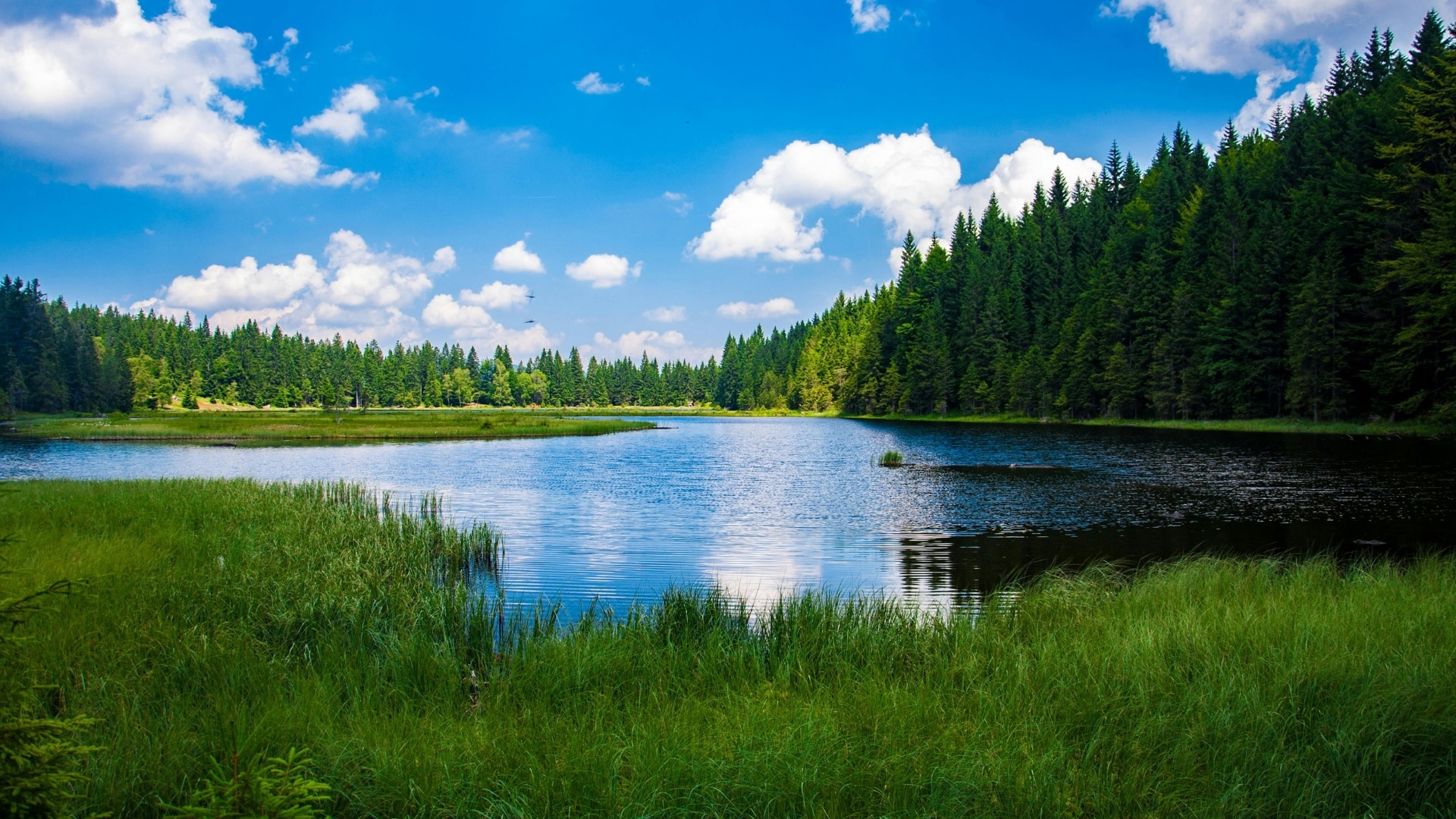 Lakes are facing oxygen depletion