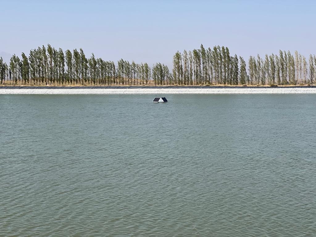 Control Algae with Ultrasound Technology