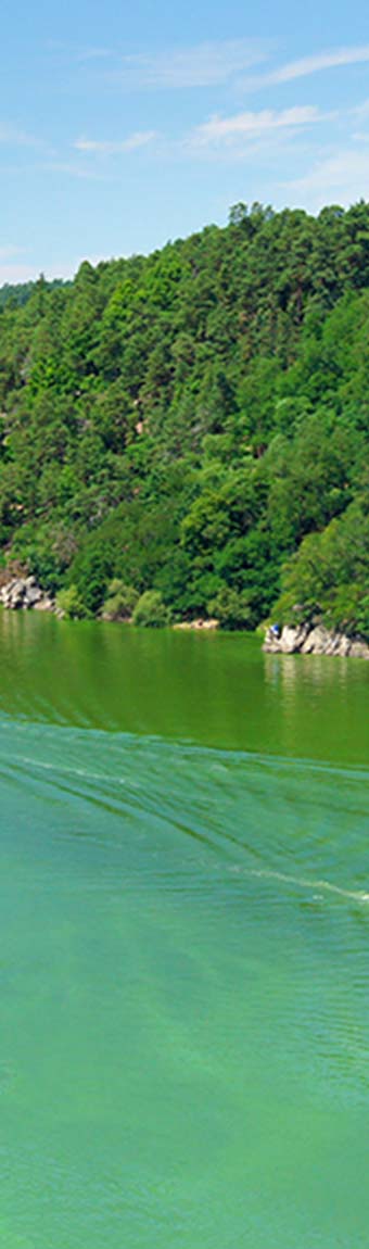 Freshwater contaminated by harmful algae
