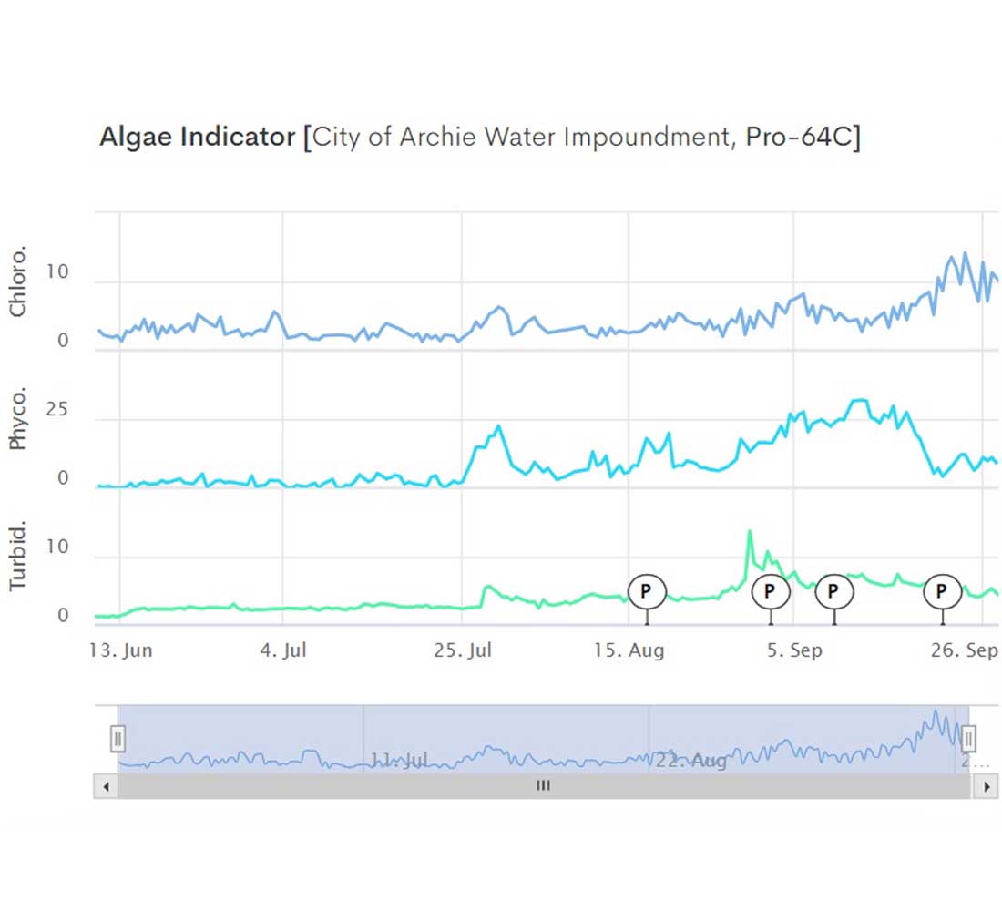 Algae indicator