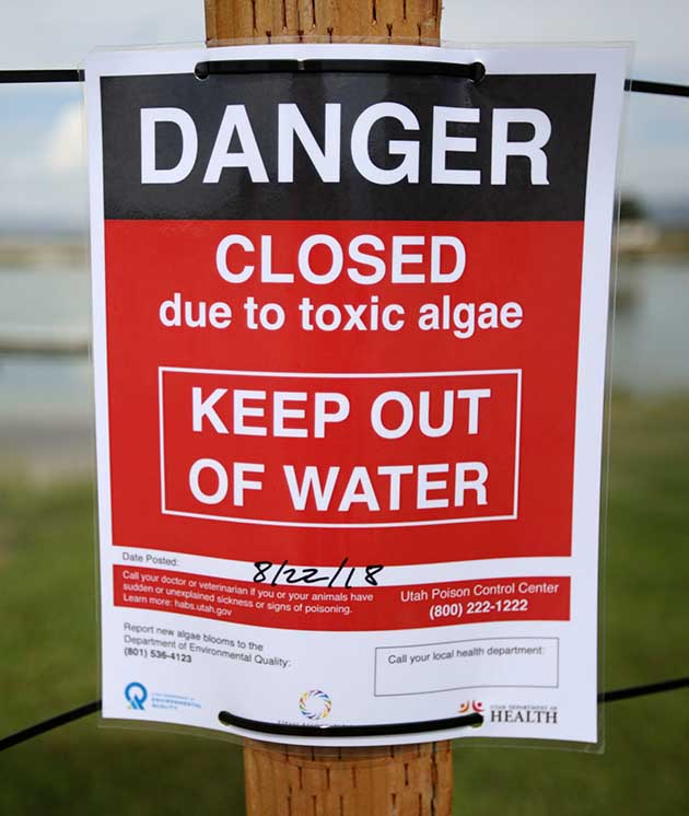 Algae warning