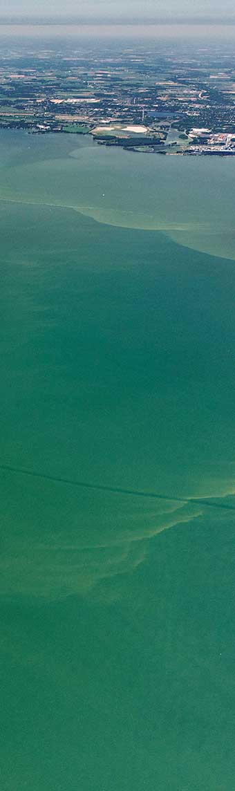 Algal bloom problem