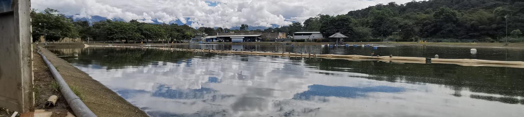 Instituto Costarricense de Acueductos y Alcantarillados