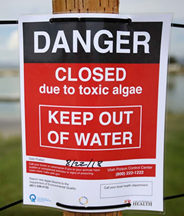 Warning sign toxic algae in lake