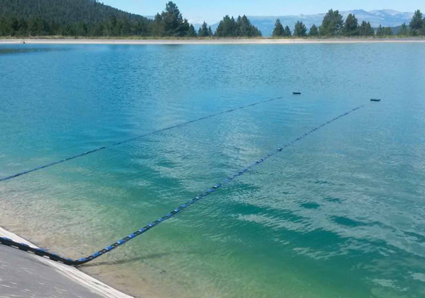 algae control with e-line extended by a flexi-arm