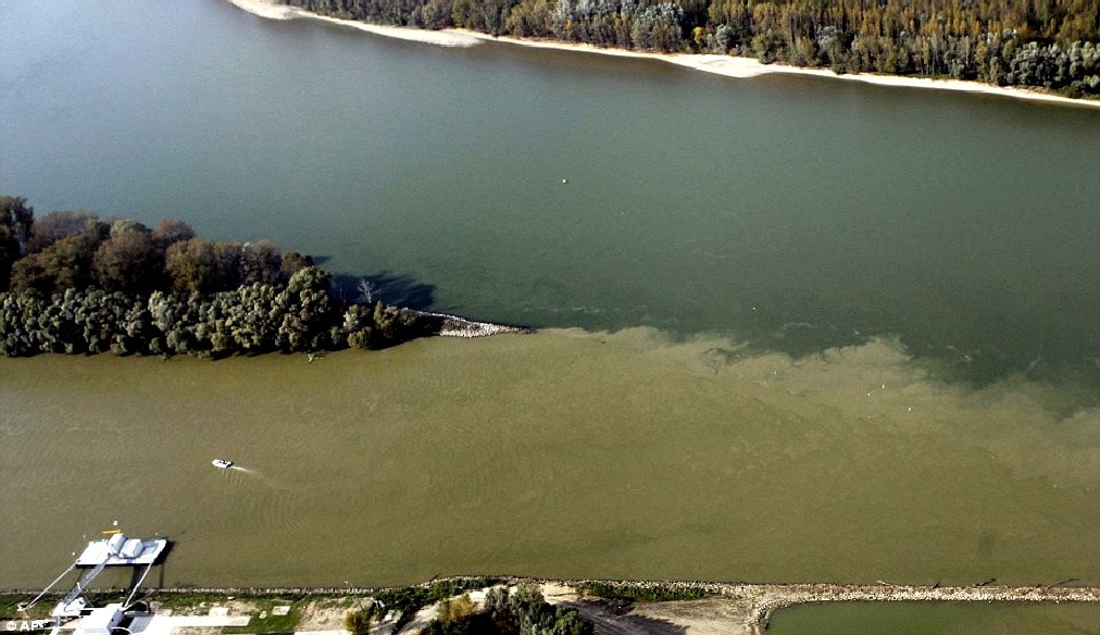 Danube river suffers from nutrient overload, leading to algal blooms