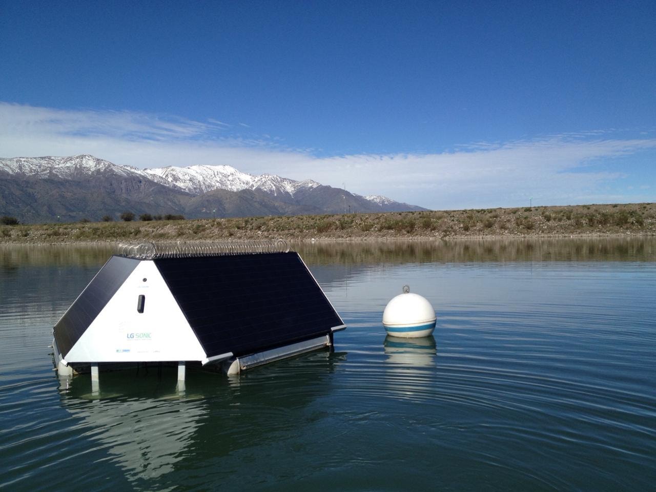 Ultrasound technology for algae