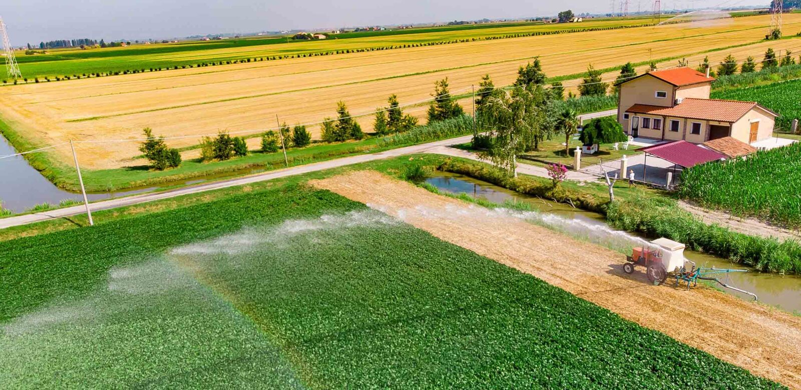 Irrigating field