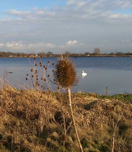 Longham Lakes