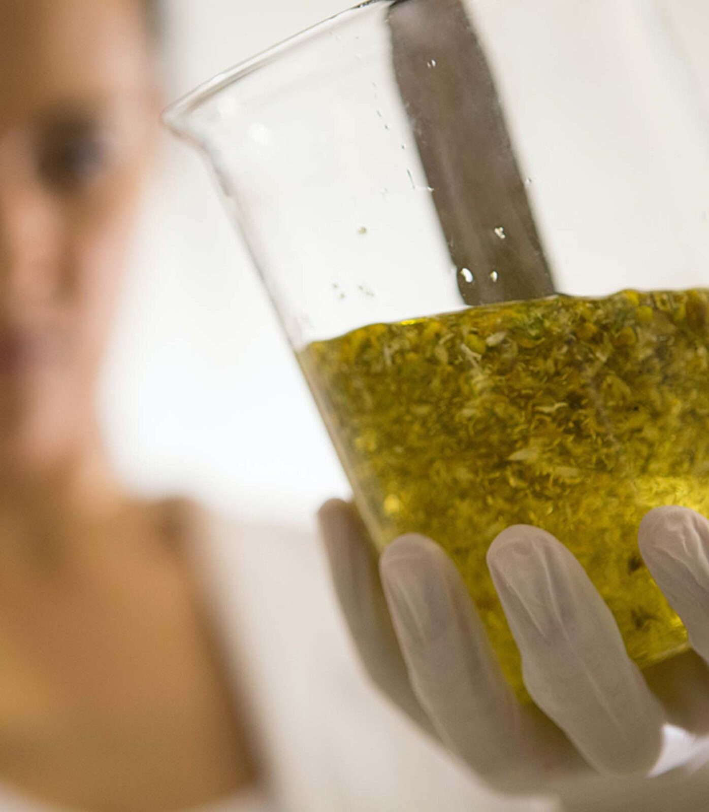 researcher testing algae
