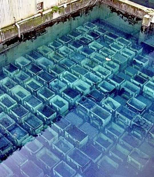 Sellafield cooling water