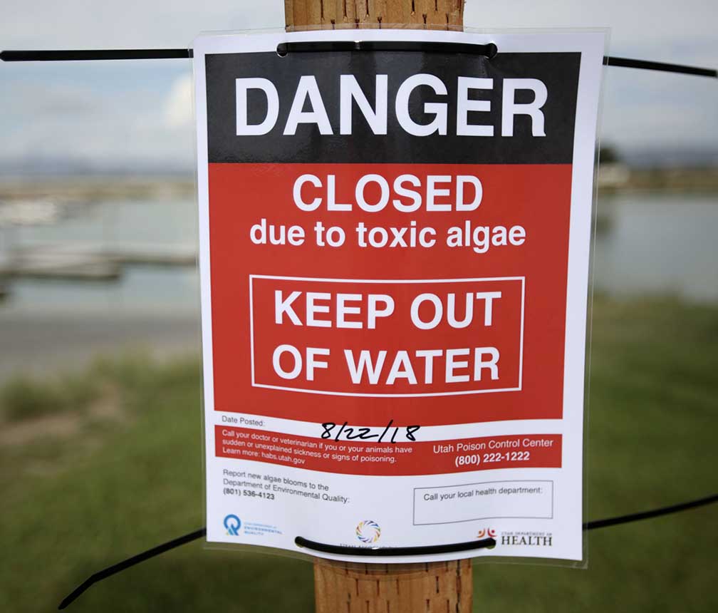 Toxic algae sign