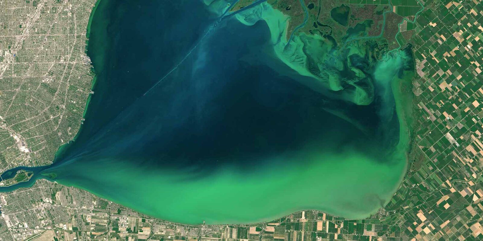 US algae bloom