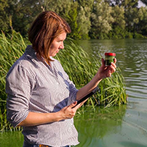 researcher sampling water for HAB