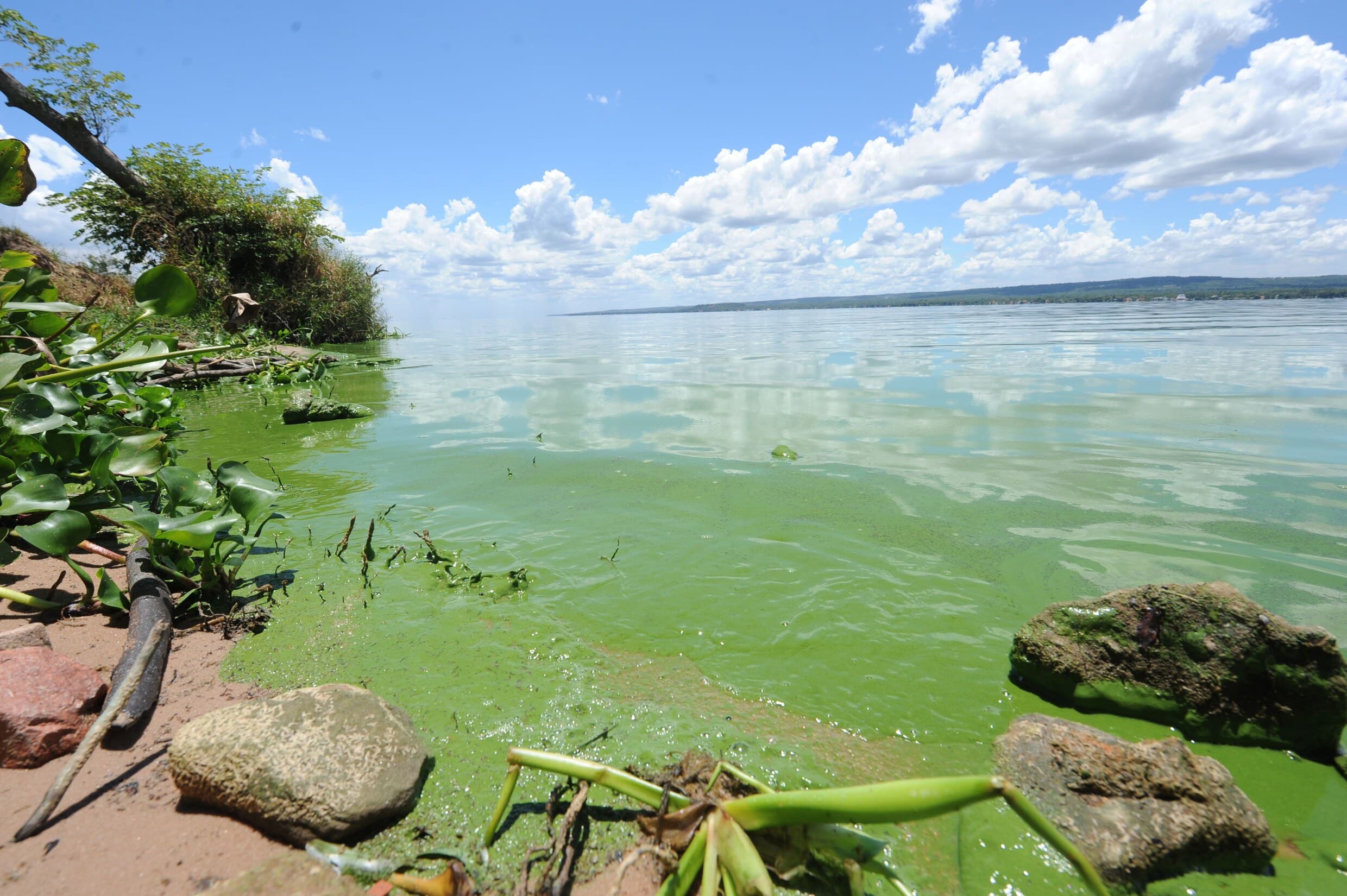 Lake Ypacaraí 